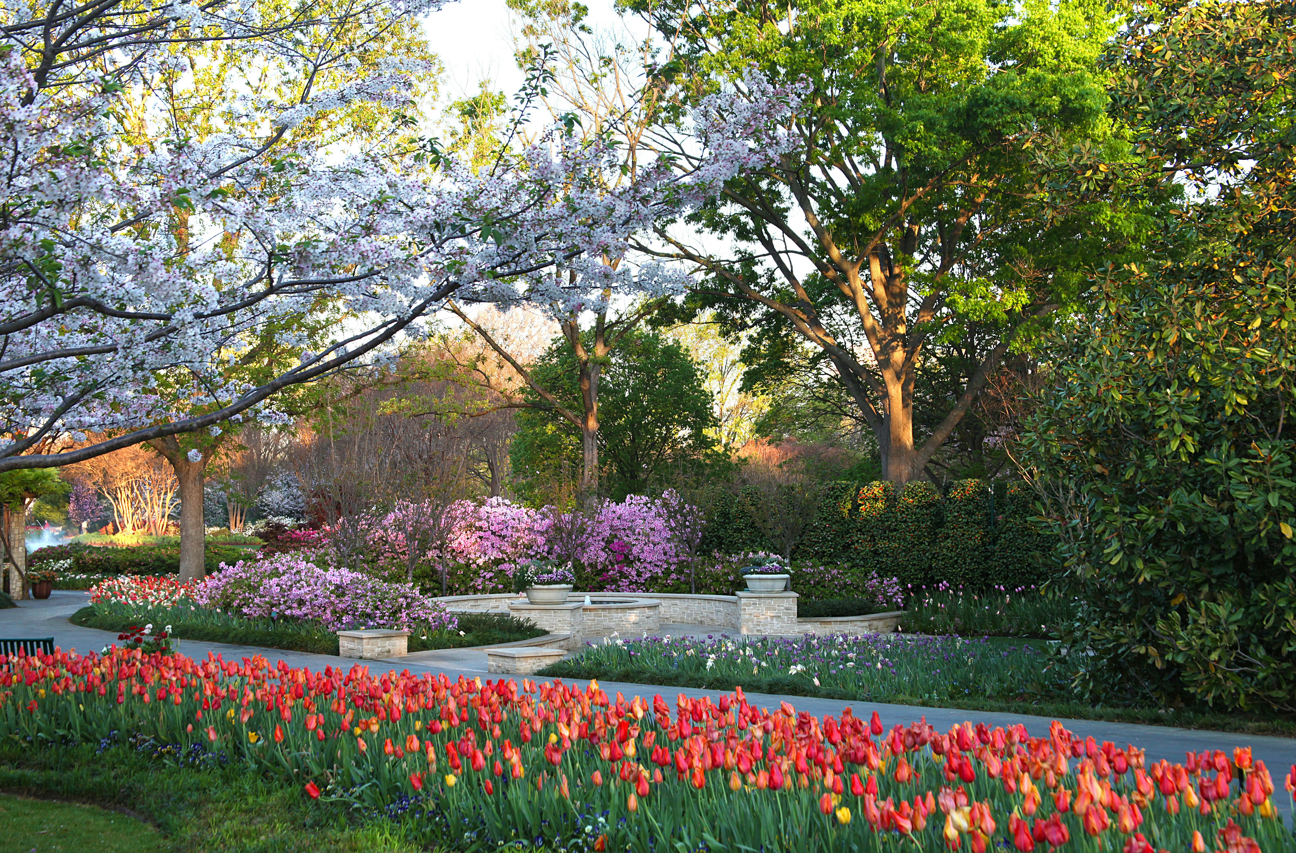 The Garden of Memories in Bloom