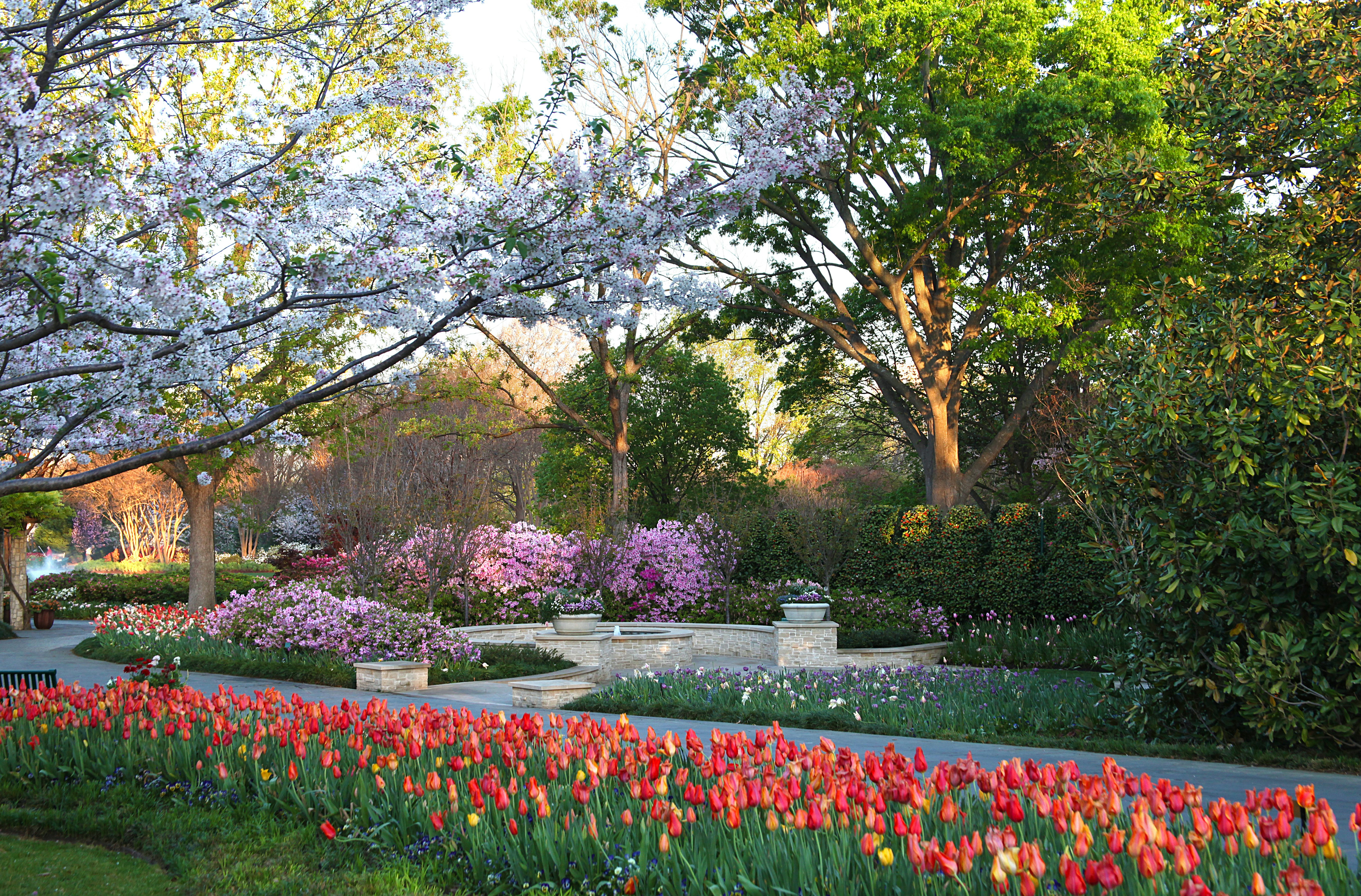 The Garden of Memories in Bloom