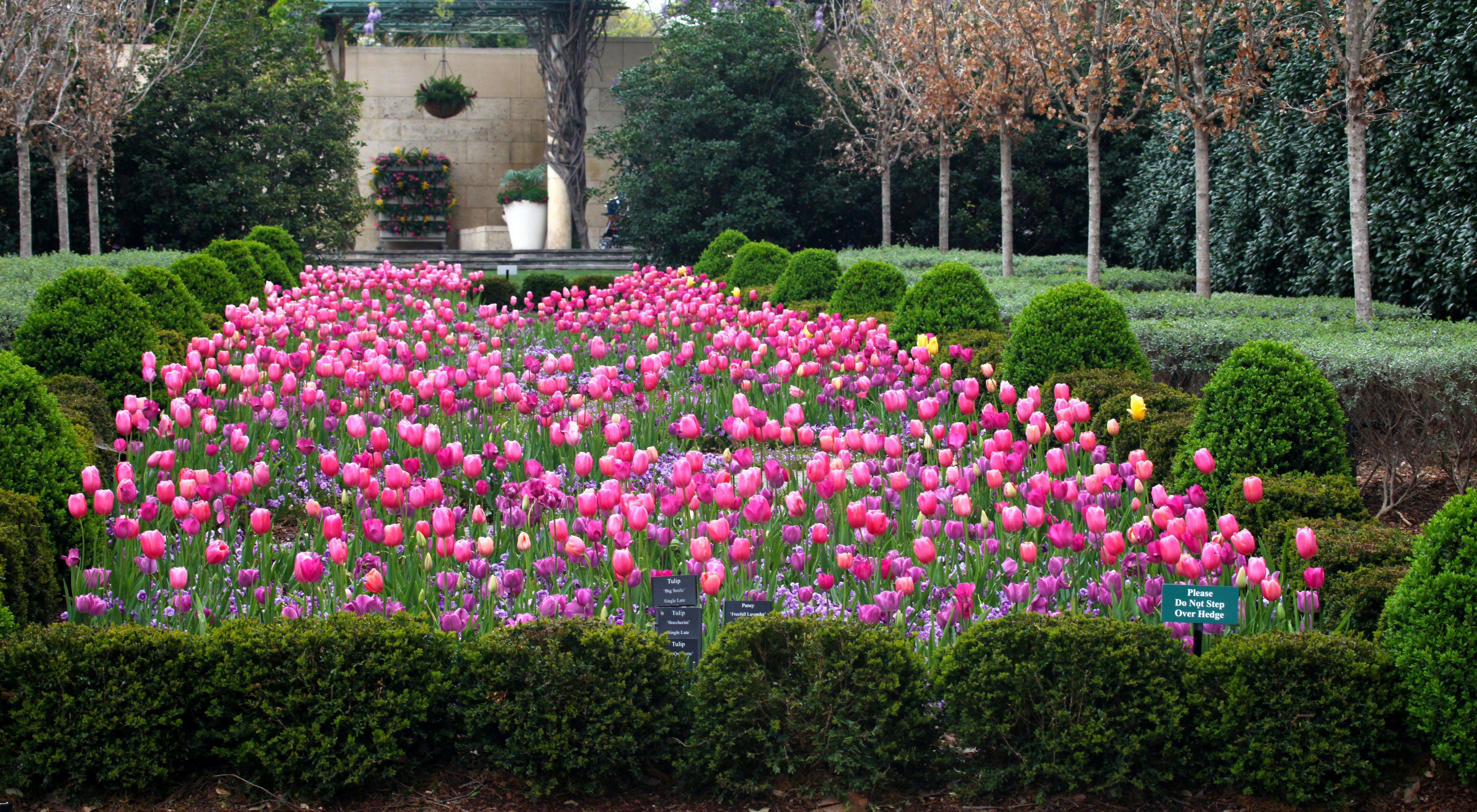 The Lay Family Garden in Bloom