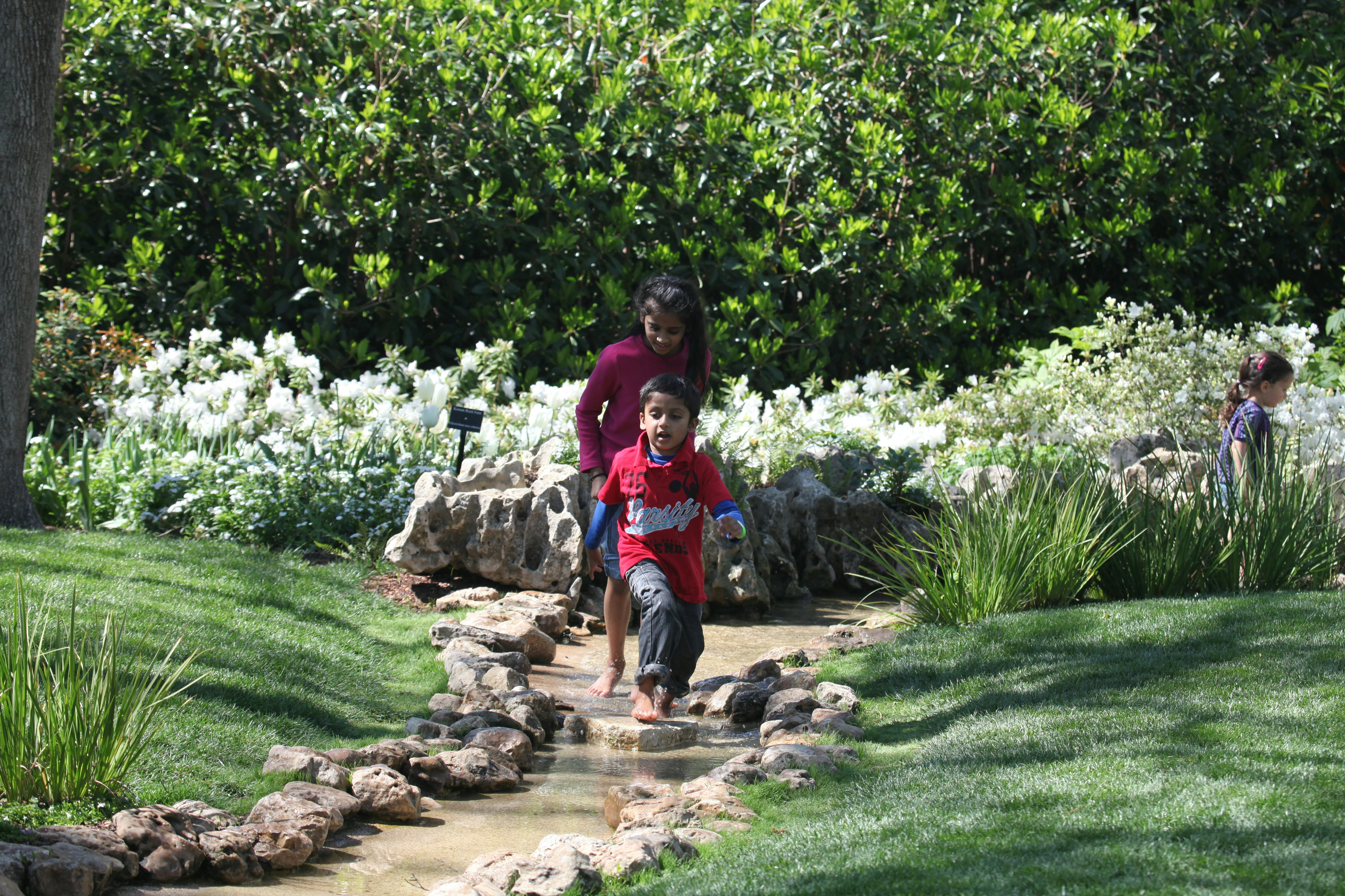 Cool Off in Magnolia Glade's Stream