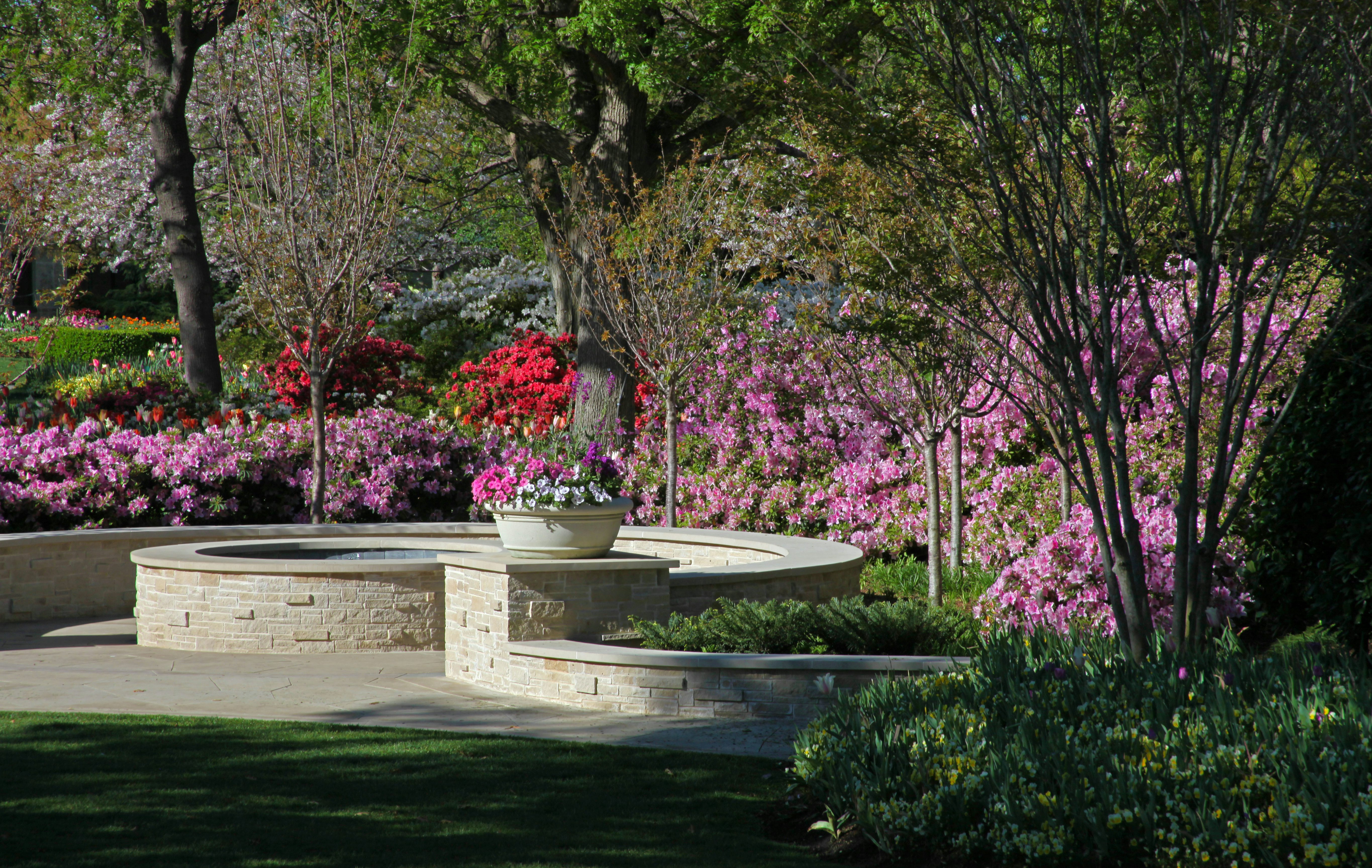 Beautiful Blooms in the Garden of Memories