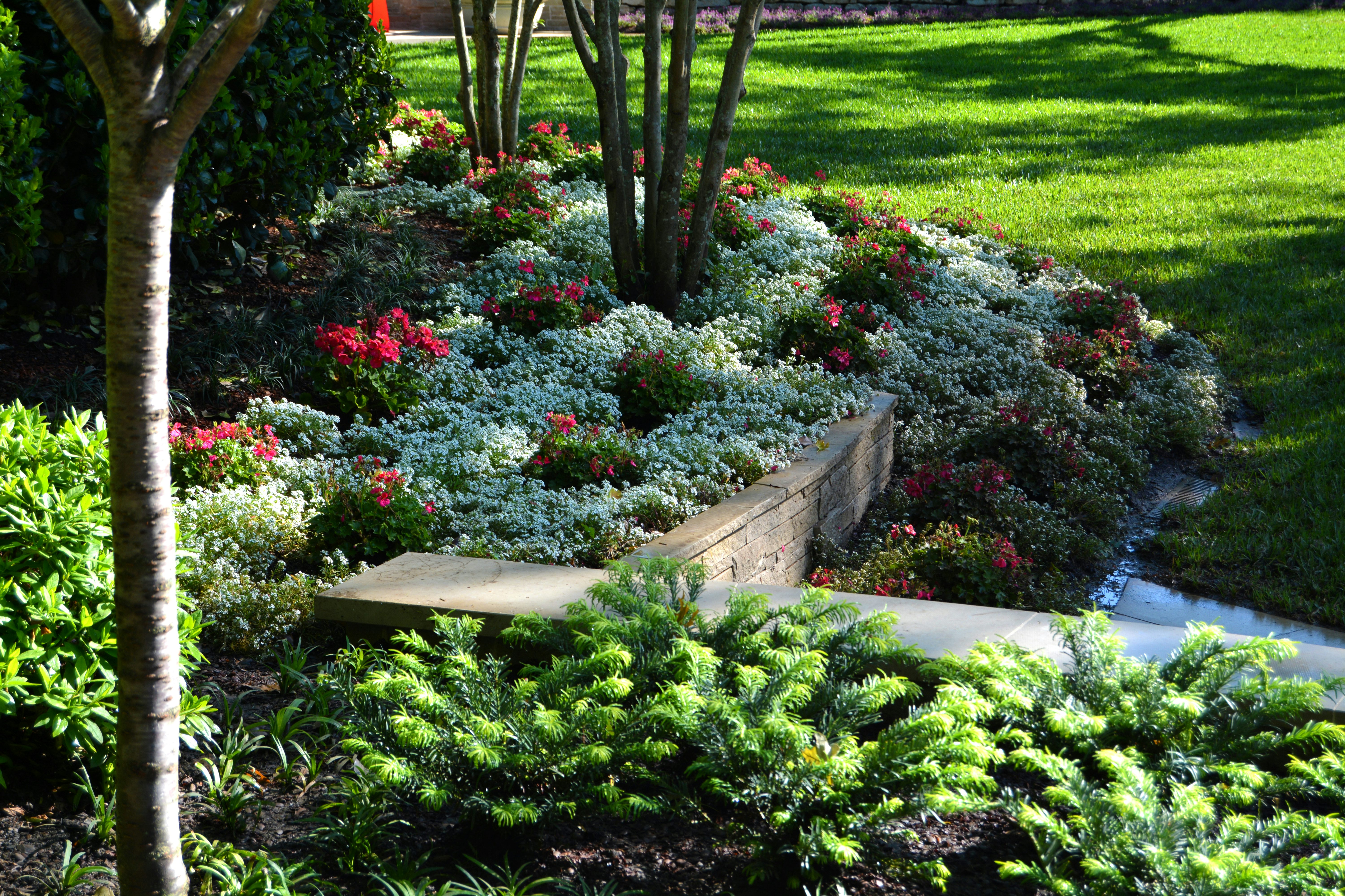 Lucious Greenery at the Garden of Memories