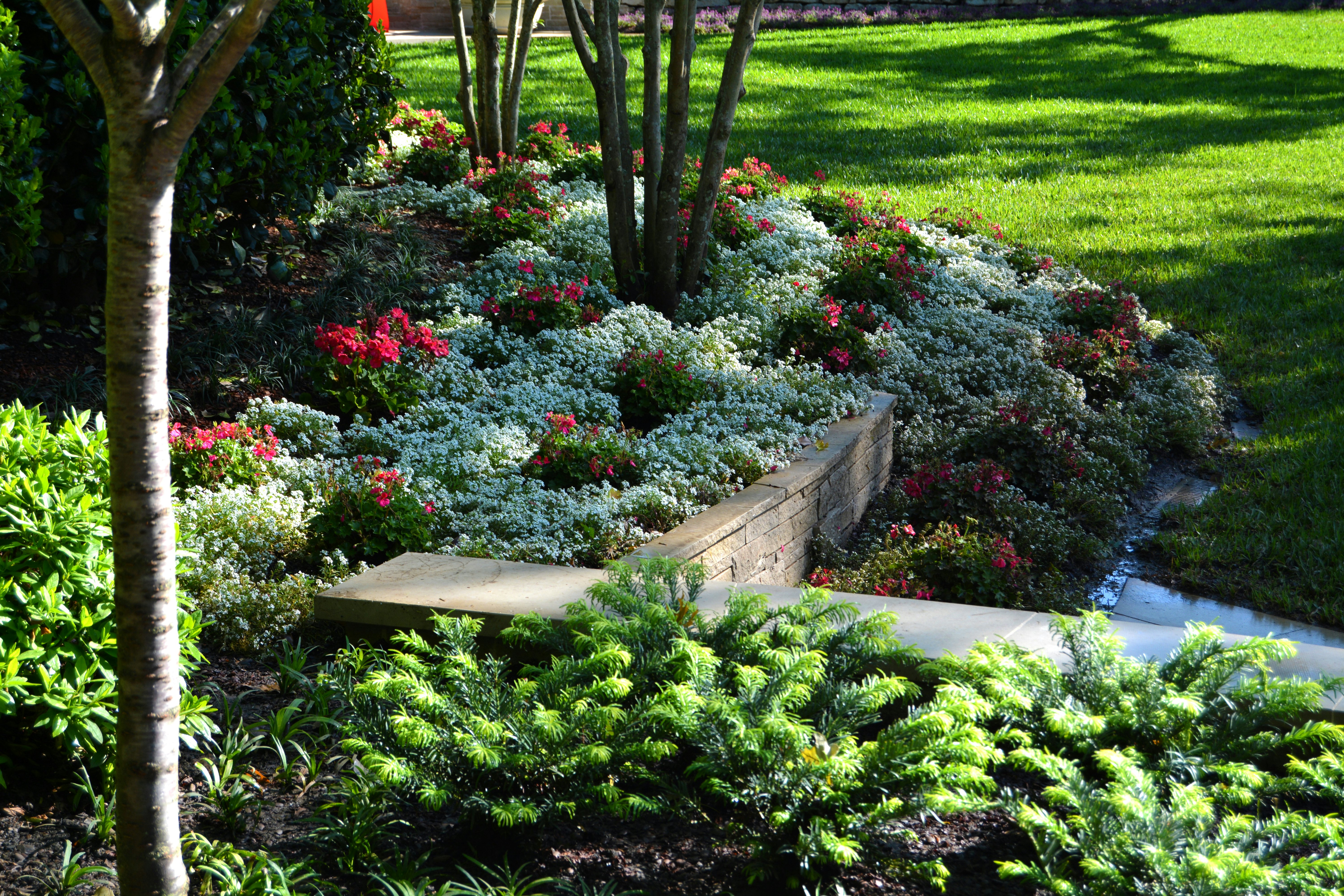 Lucious Greenery at the Garden of Memories