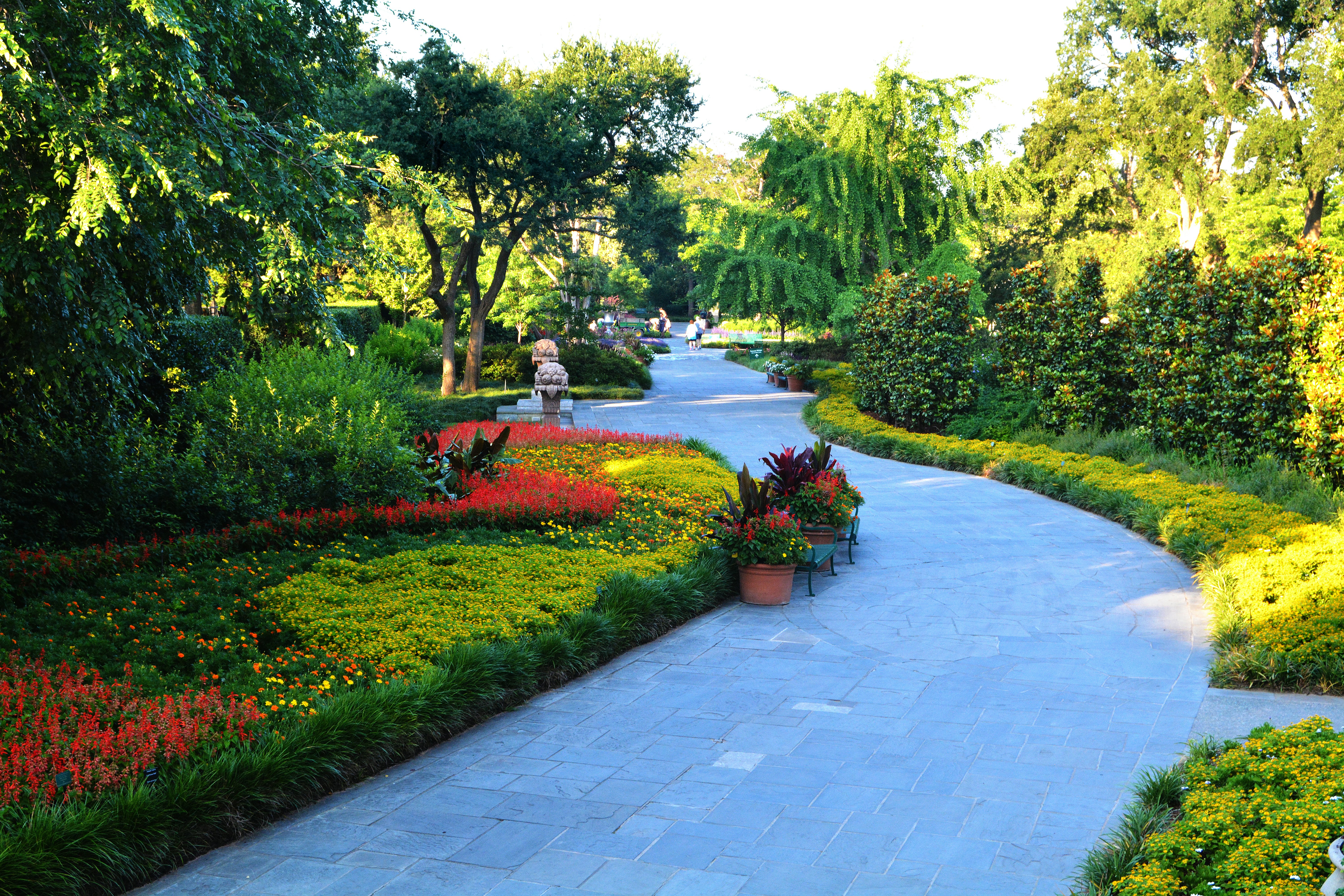 Walking Paths on the Paseo