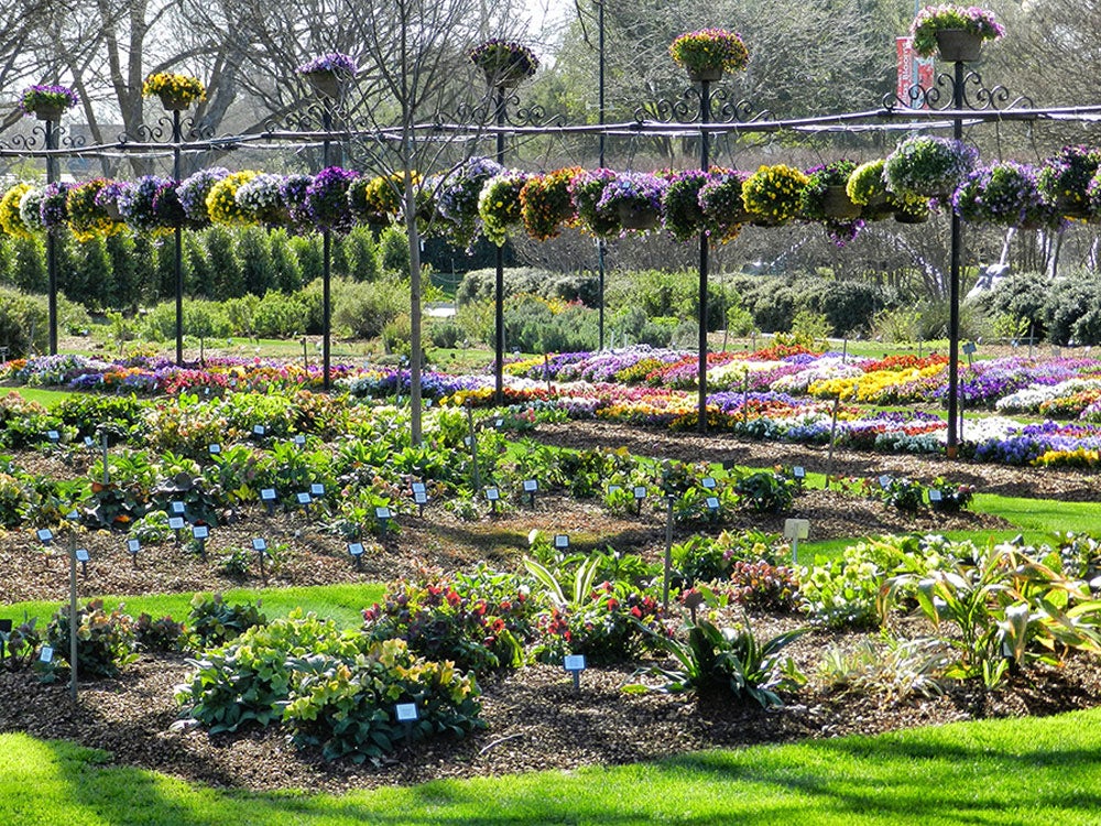 A Beautiful View of the Trial Garden