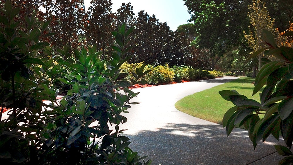 A Shady Spot in the Lindsley Shadow Garden