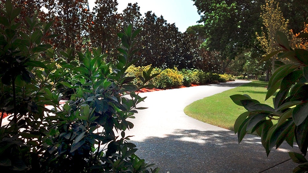 A Shady Spot in the Lindsley Shadow Garden