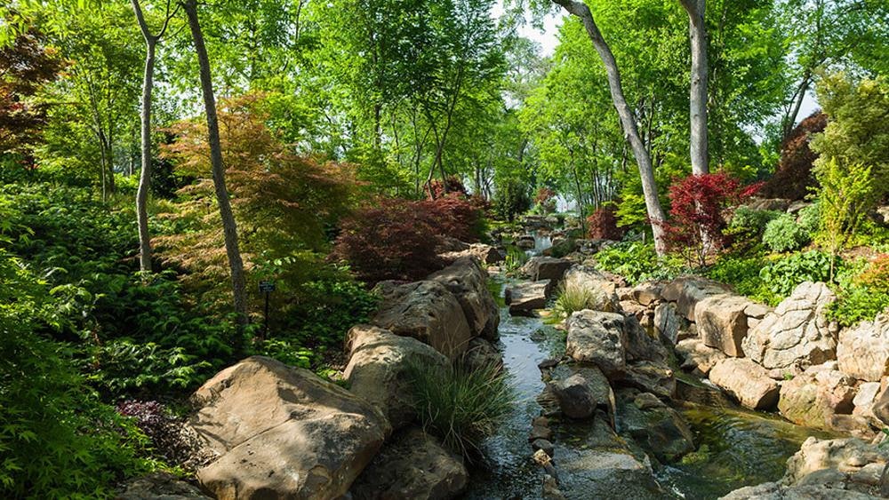 Amazing View of the Red Maple Rill