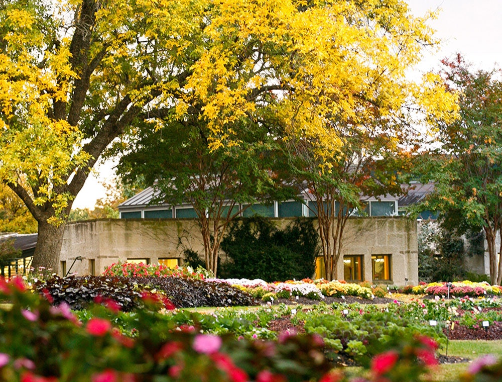 Autumn Color in the All American Selections Trial Garden