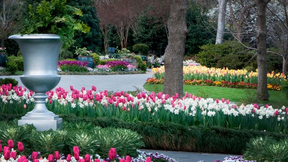 Beautiful Spring color on the Paseo