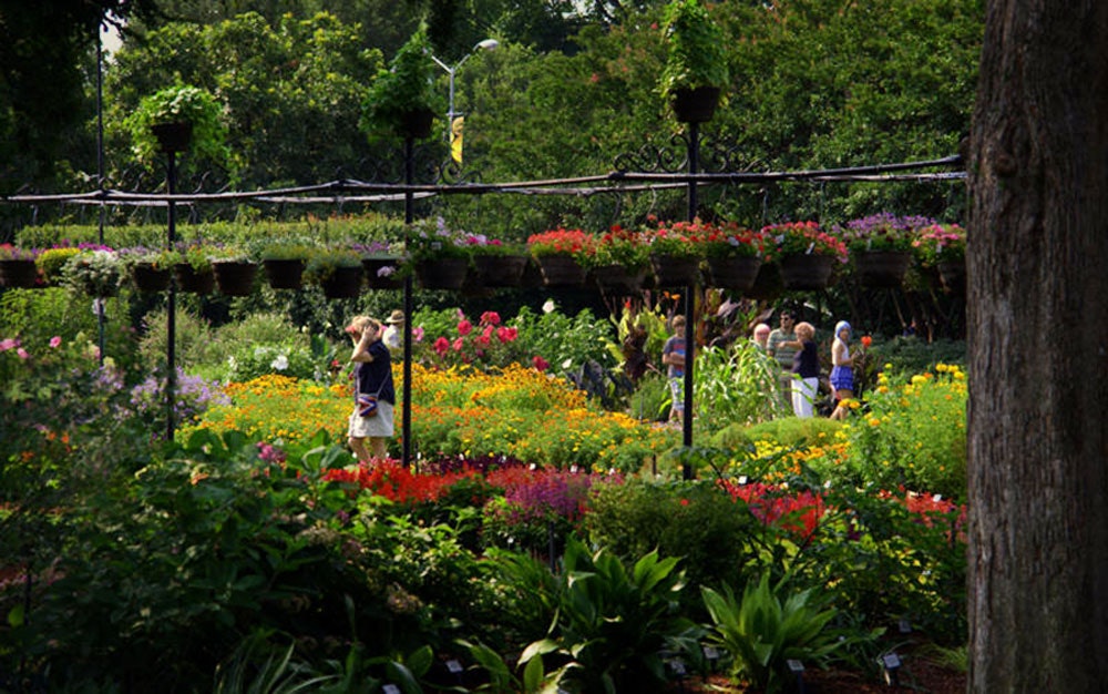 Beautiful Spring Plantings in the Trial Garden