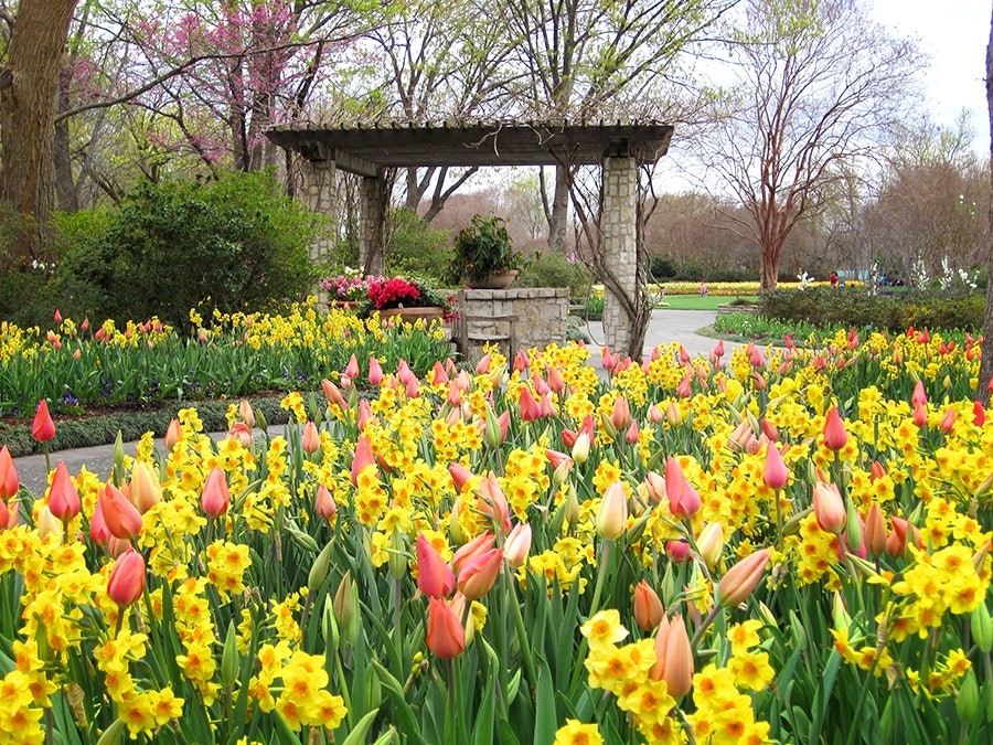 Bright-Spring-color-in-the-Jonsson-Color-Garden11