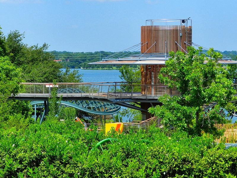 outdoor conopy of trees with architectural skywalk