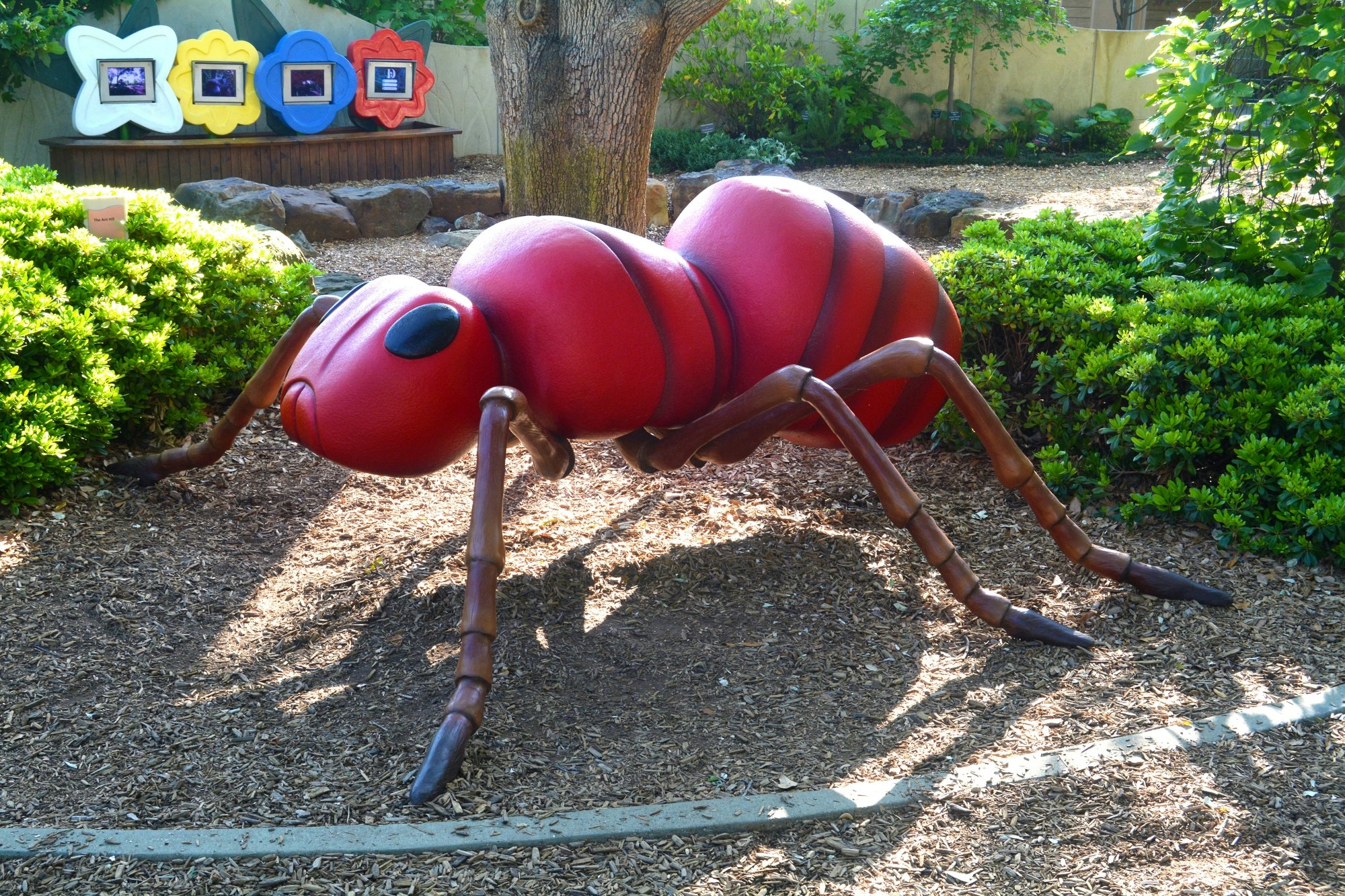 Ant sculpture outdoors
