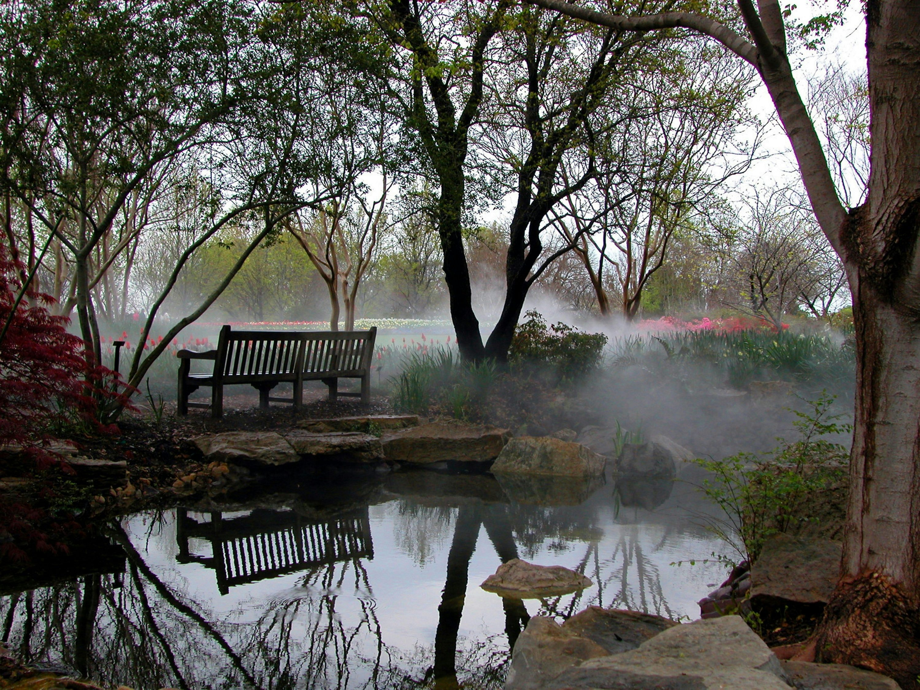Sit on the Benches in the Cool Mist of Palmer Fern Dell