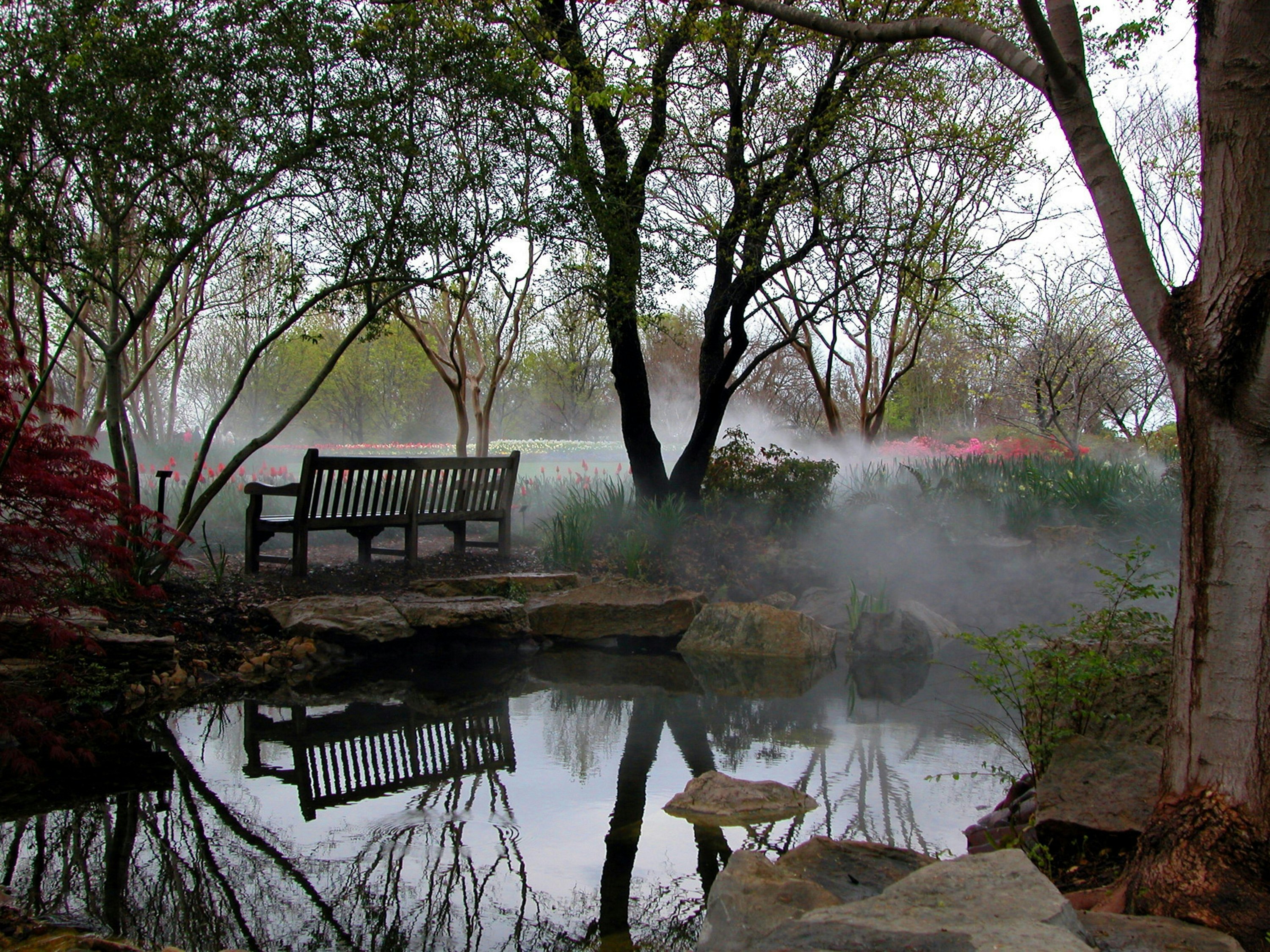 Sit on the Benches in the Cool Mist of Palmer Fern Dell