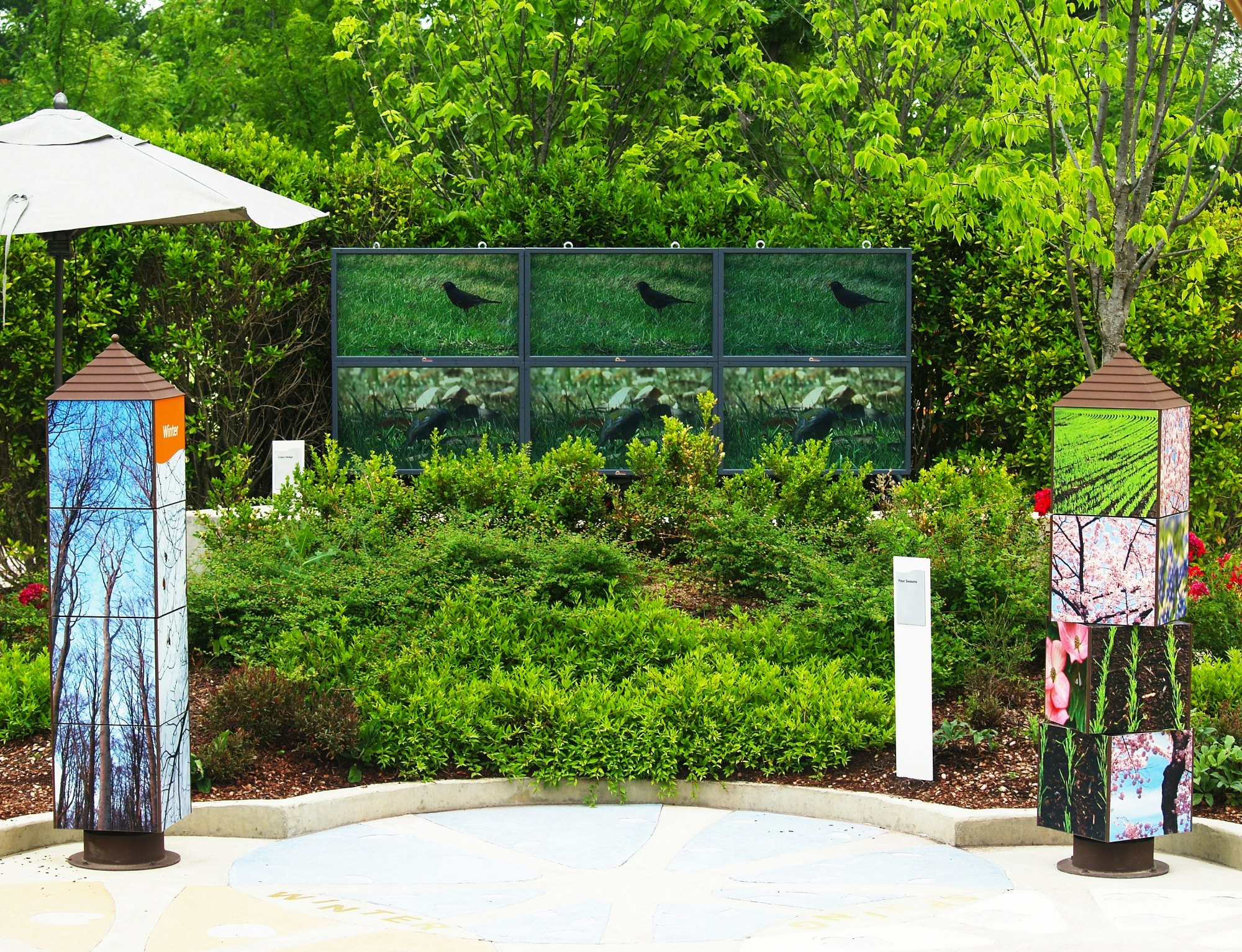 child looking at a field of grass up close