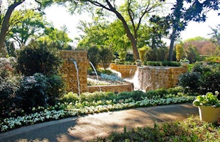 Fountains at the Magnolia Glade