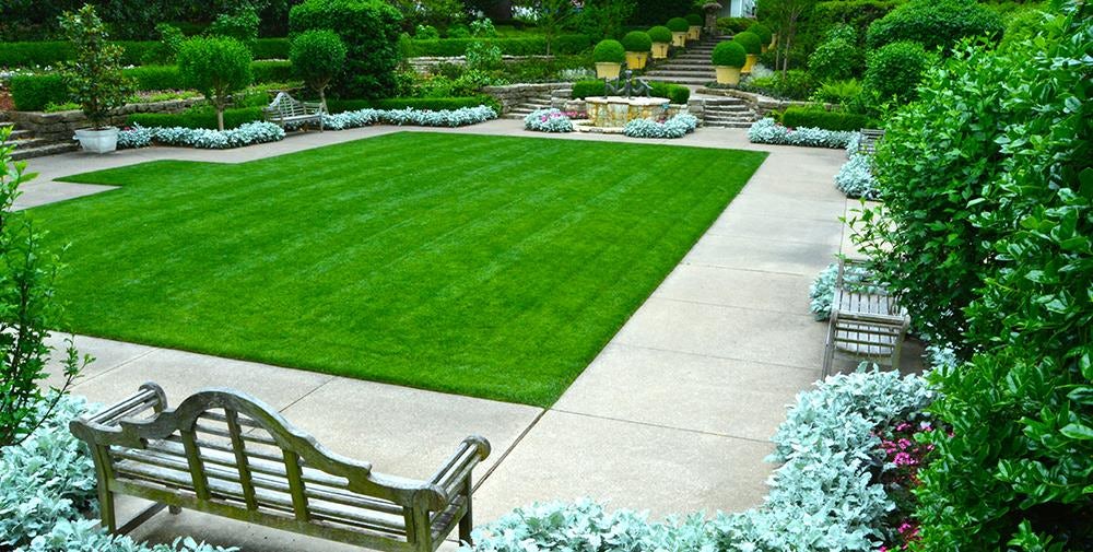 Vibrant Green Lawn of the Sunken Garden