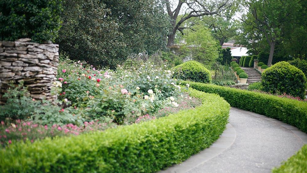 Meandering path in the Boswell Garden