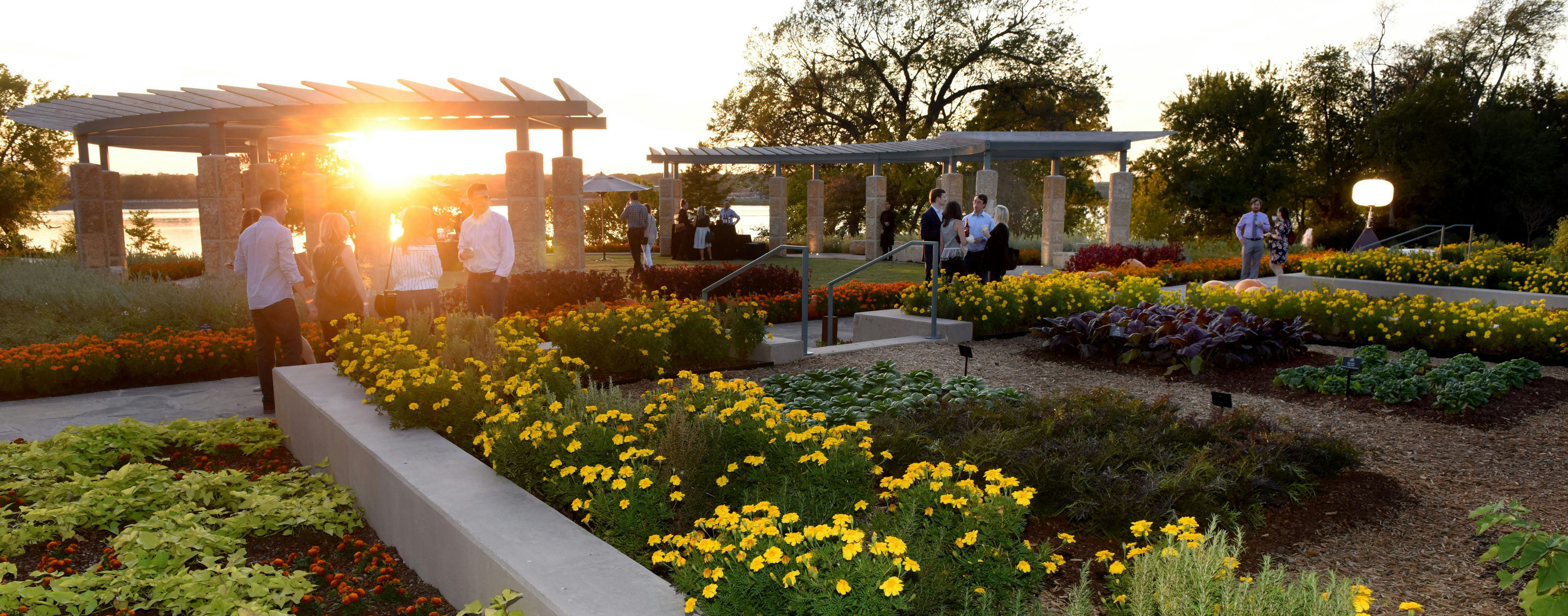 Rows of gardens with a canopy and people in semi-formal attire walking in the background