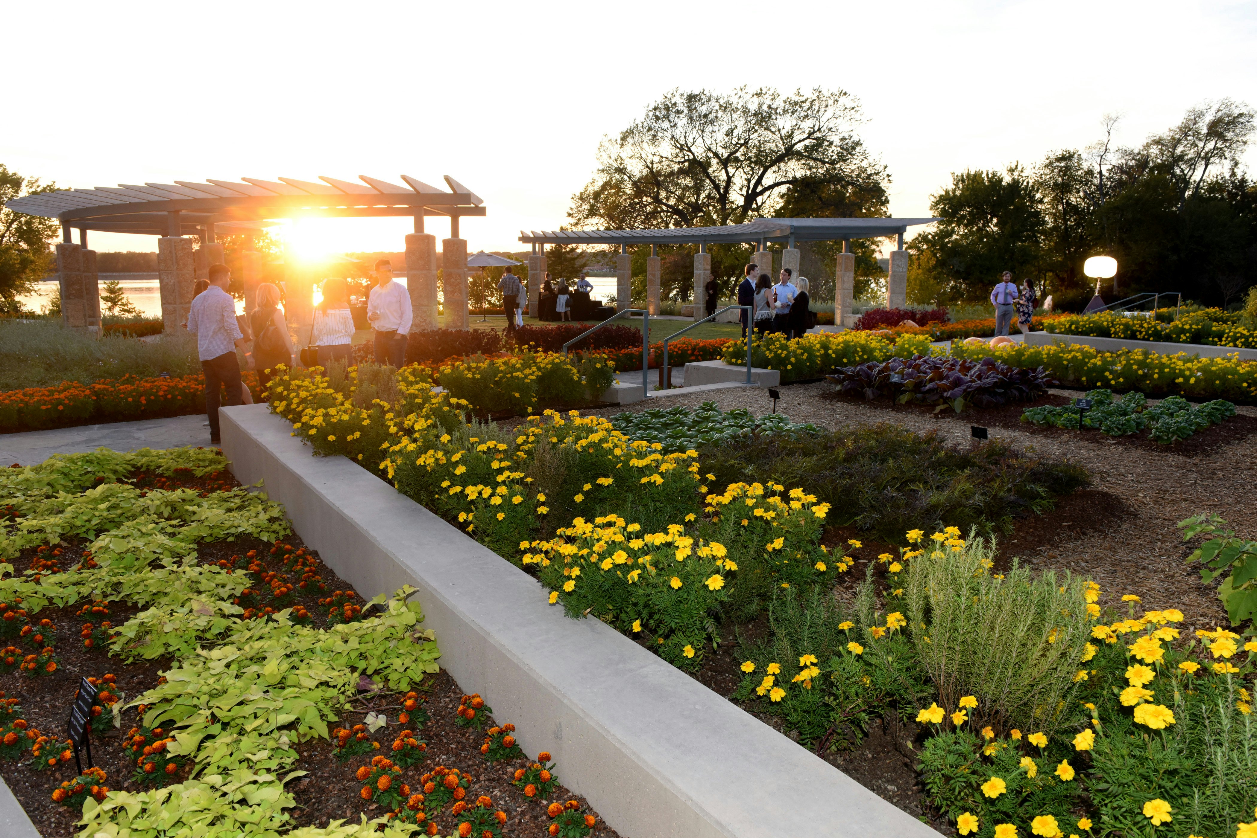 Rows of gardens with a canopy and people in semi-formal attire walking in the background