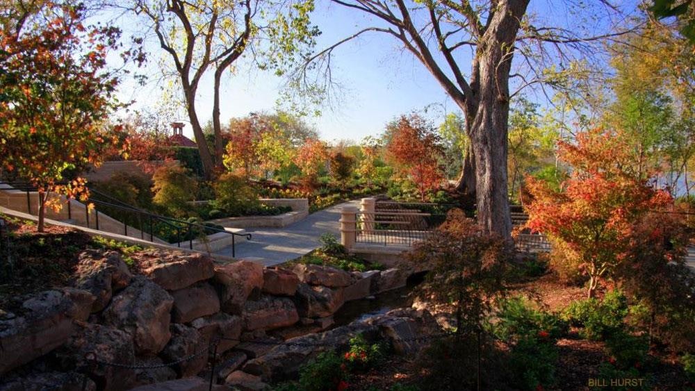 Fall in Red Maple Rill