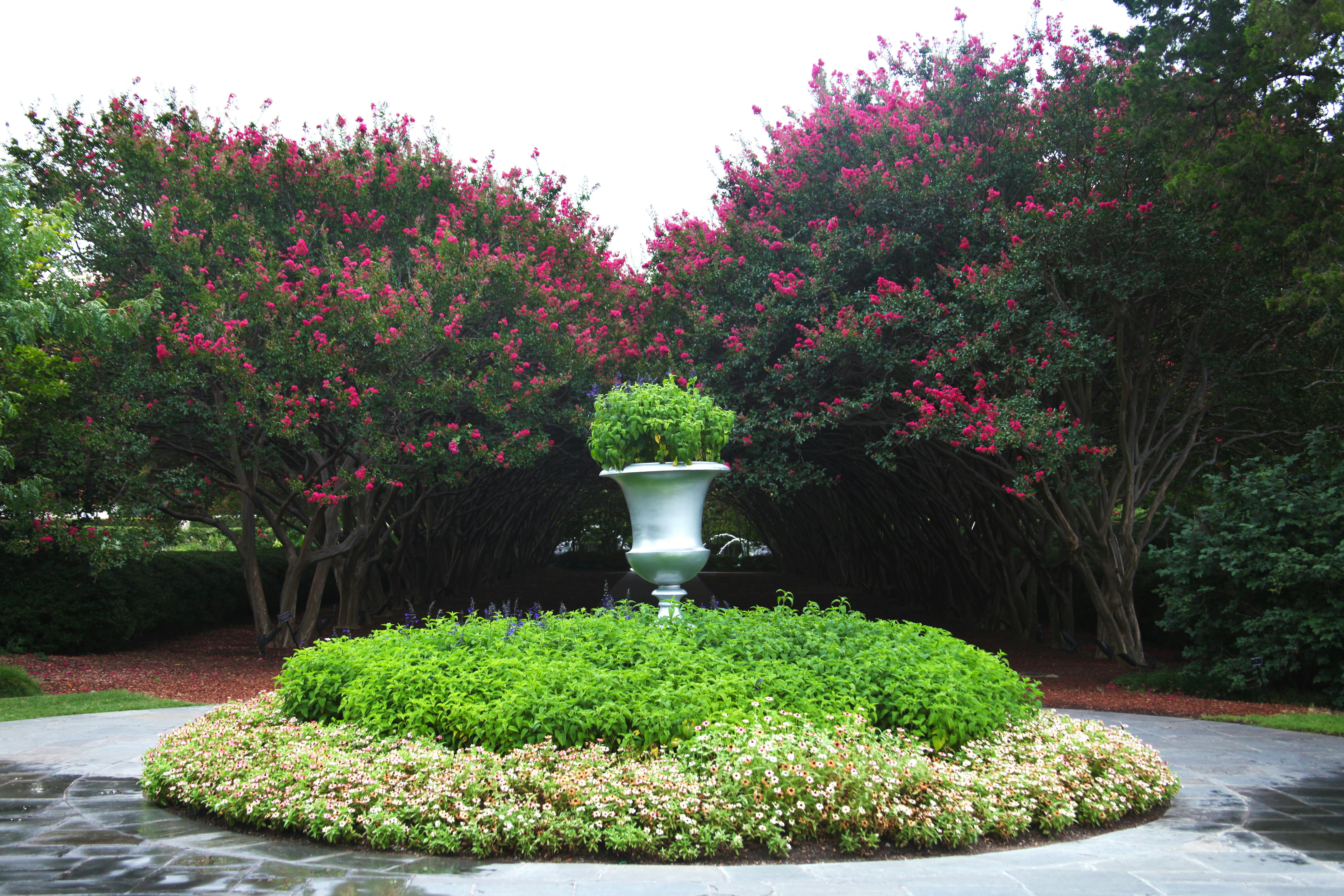 The Paseo during the Summer