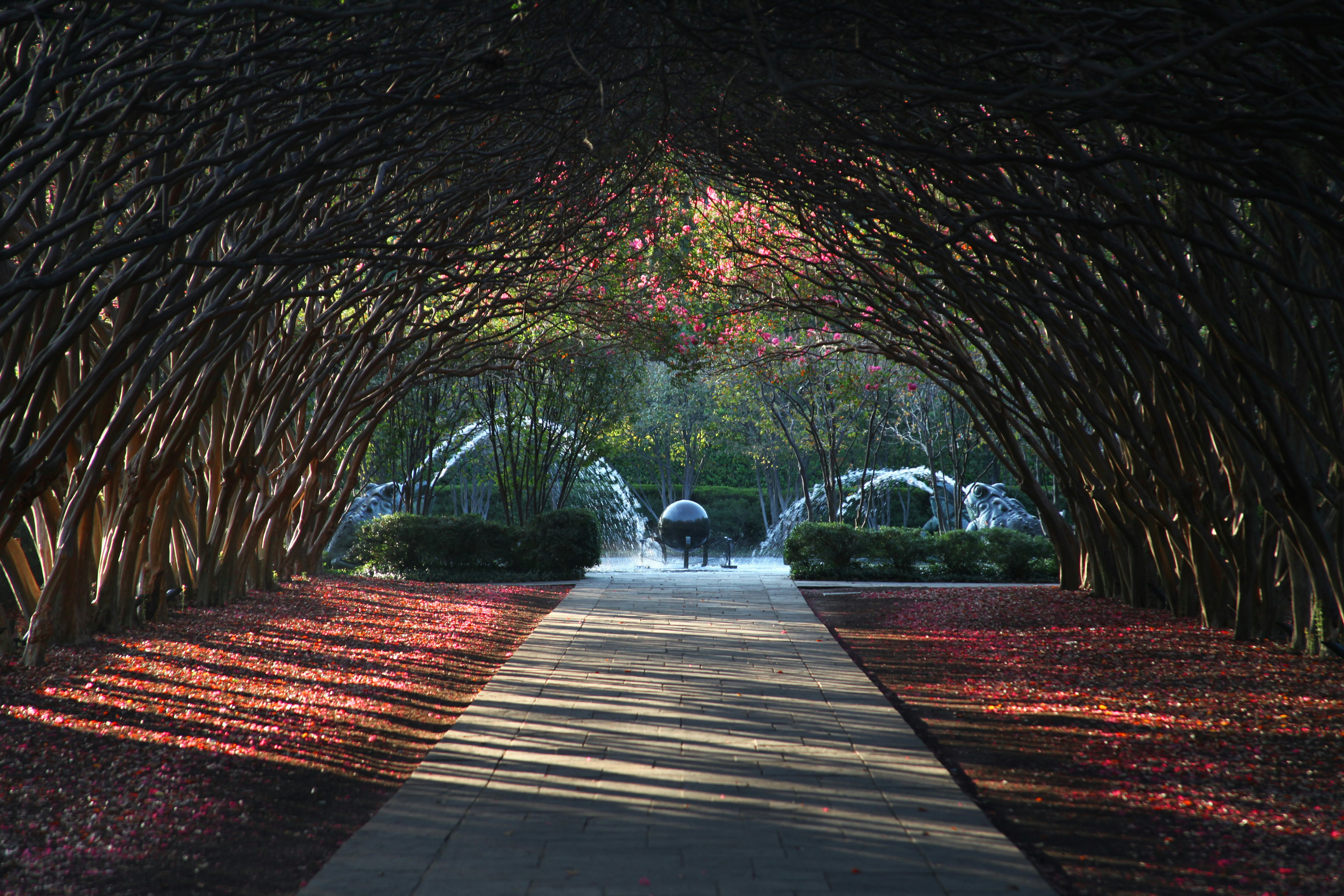 A View of Toad Corners from Crape Myrtle Allee