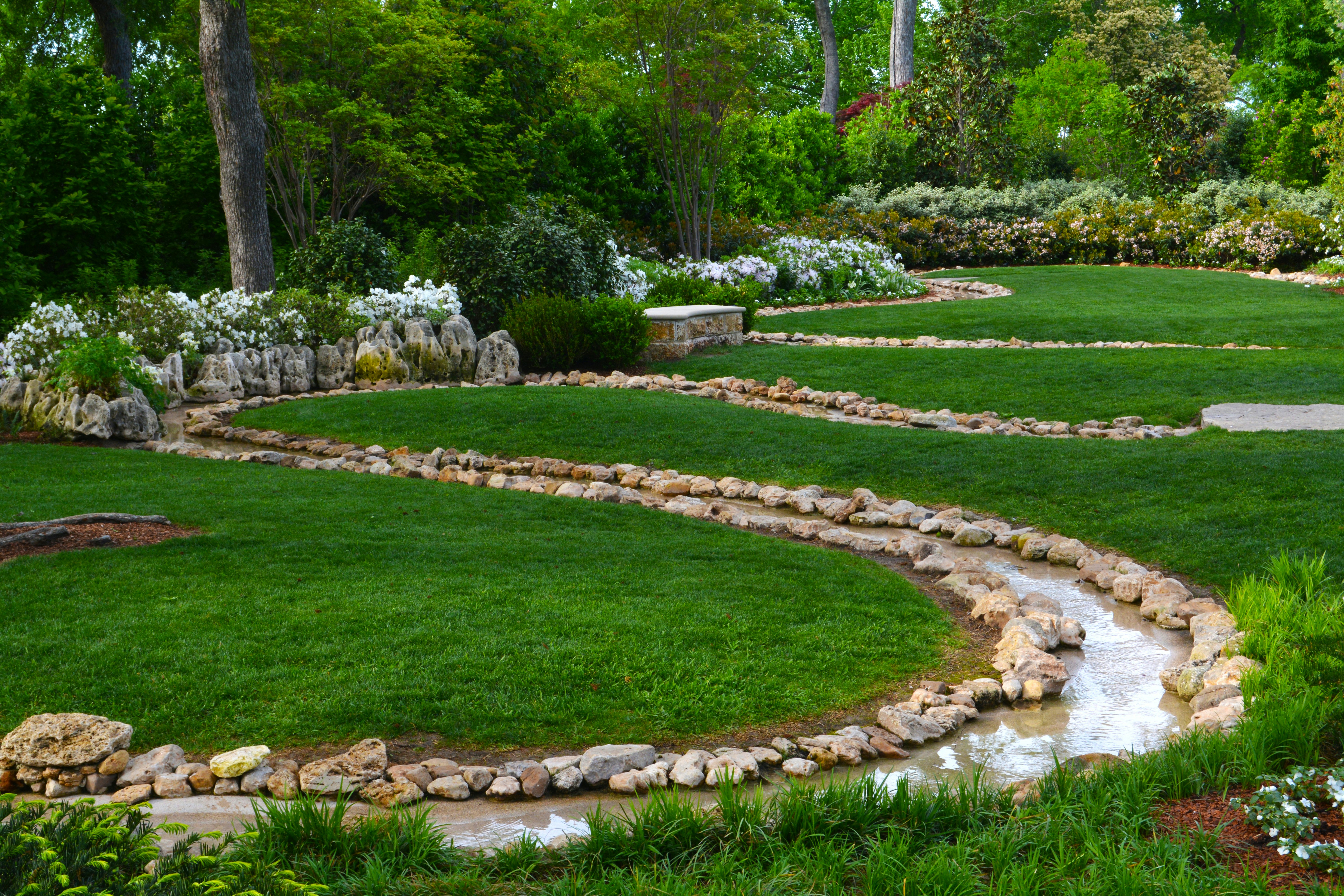 Stream in the Magnolia Glade