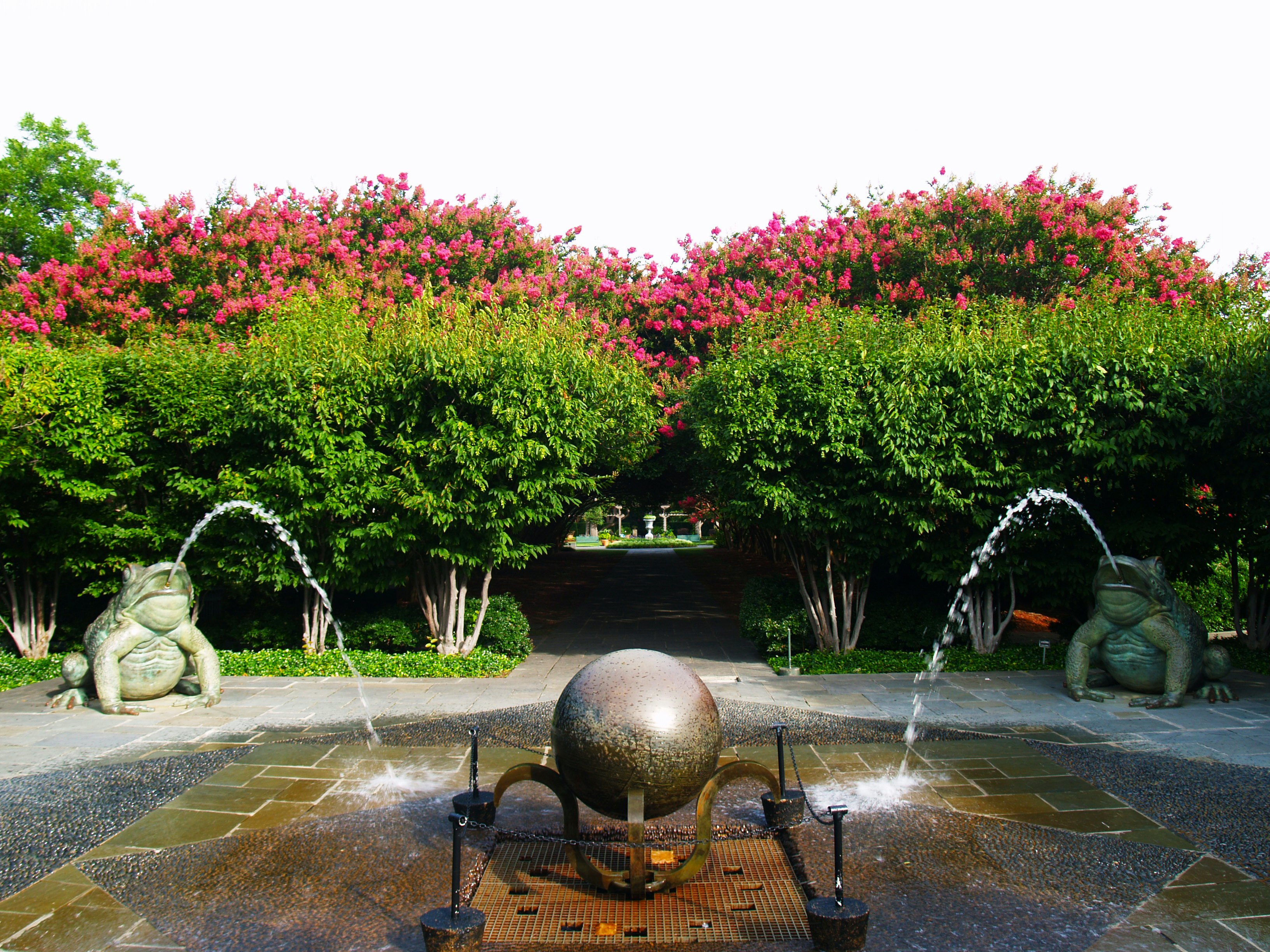 Refreshing View from Toad Corners into the Crape Myrtle Allee
