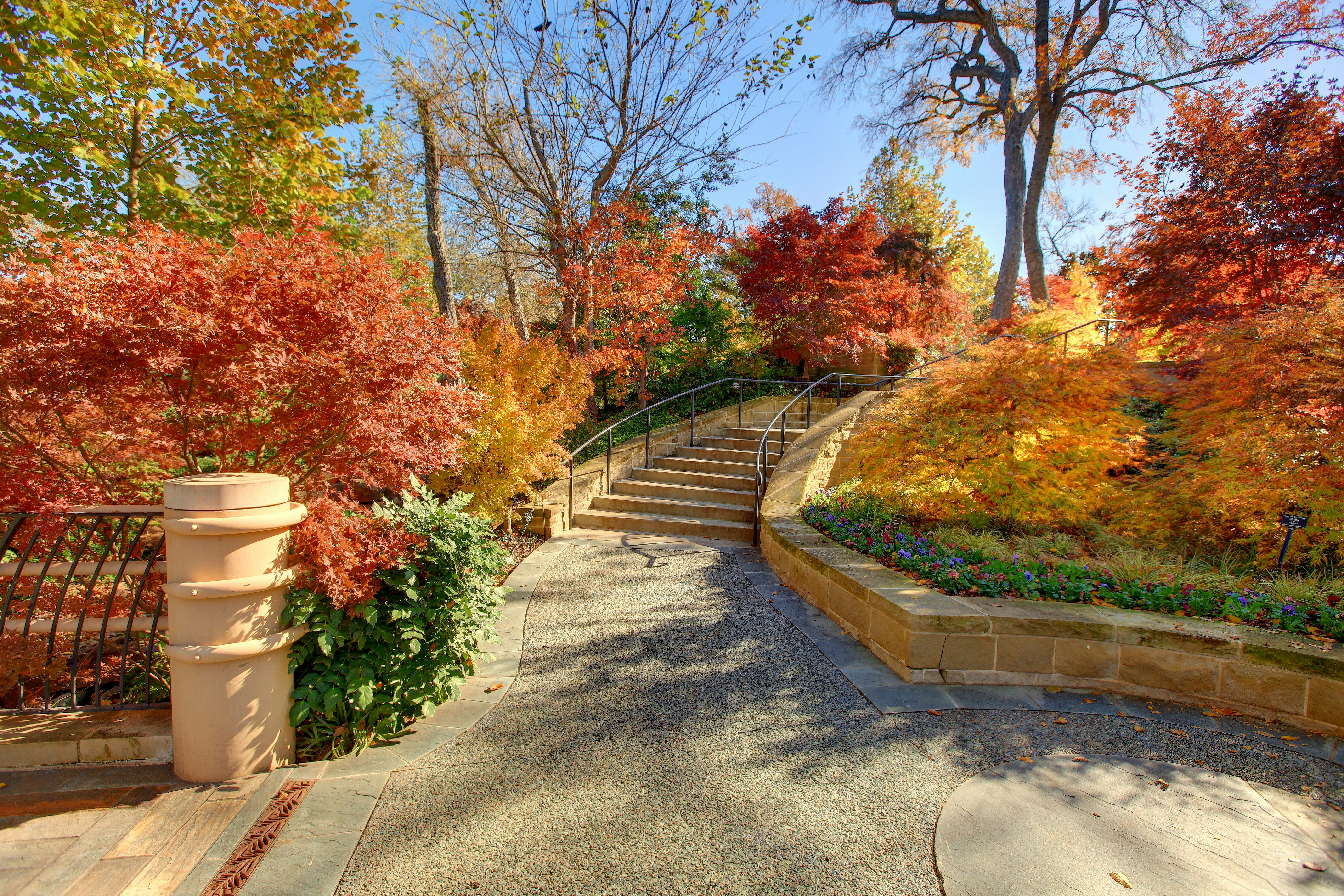 Walking Path during the Fall