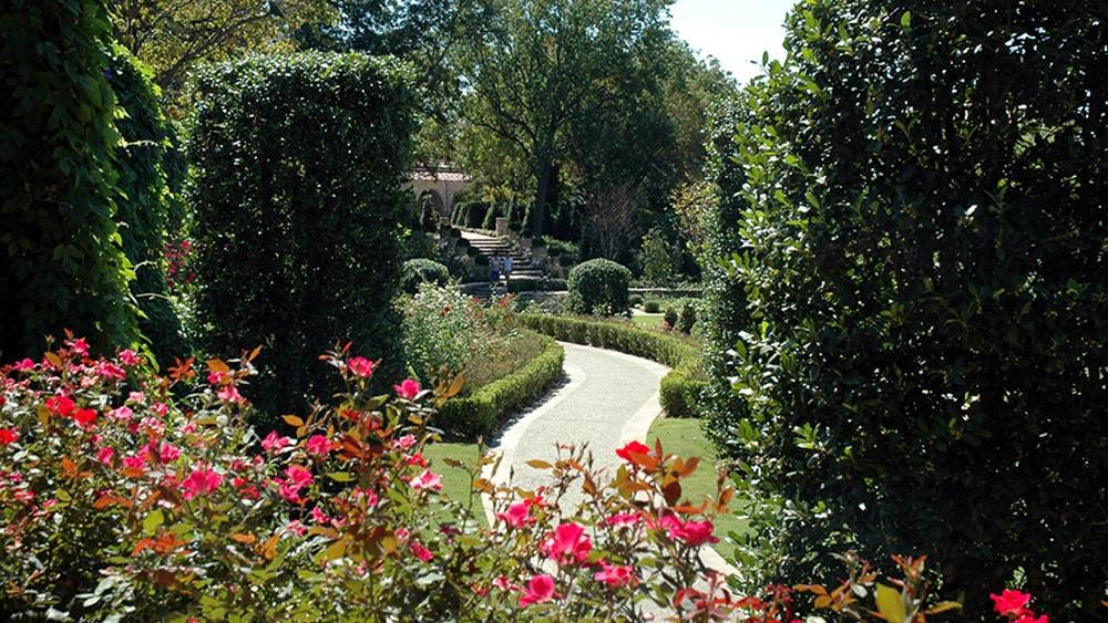 Roses blooming along the stacked stone wall in the Boswell Garden
