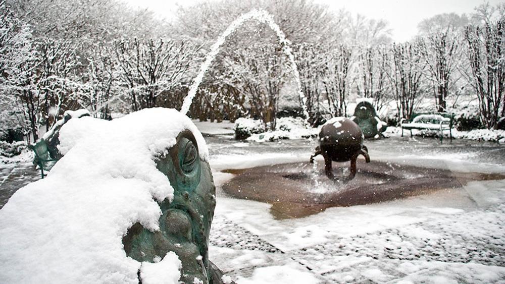 Snow and ice at Toad Corners