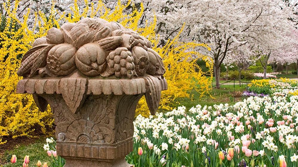 Spring blooms along the Paseo