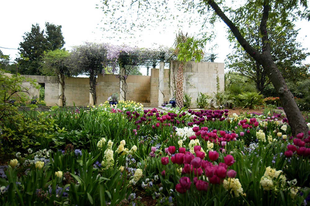Spring Color in the Lay Garden