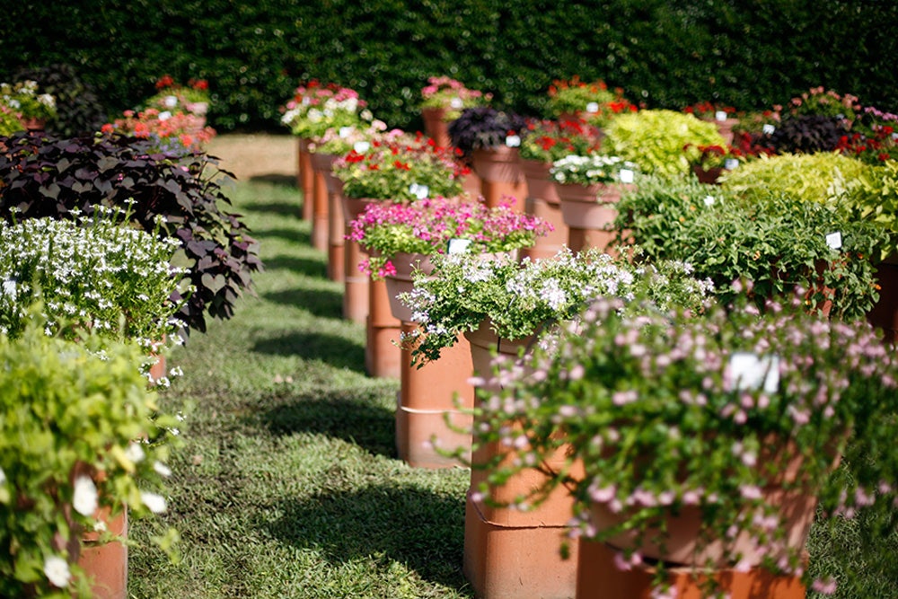 The Container Trial Garden