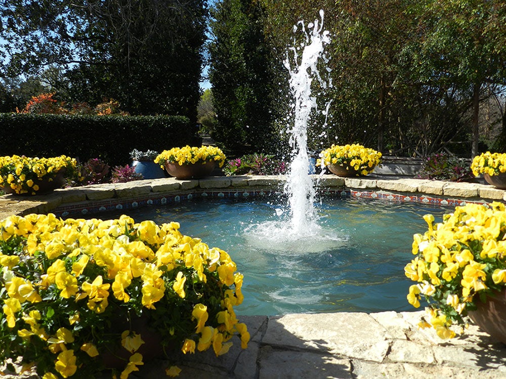The Octagon Fountain in the DeGolyer Gardens